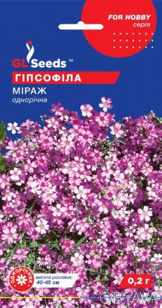 Ніжна рослина з кущиками заввишки близько 40-45 см, з дрібними квітками усіх від. . фото 1