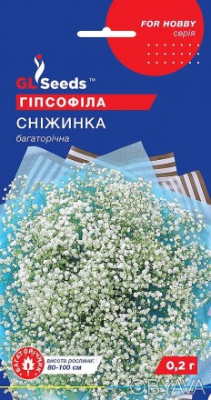 Багаторічна холодостійка рослина, яка формує сильно-гіллясті ажурні кущики висот. . фото 1