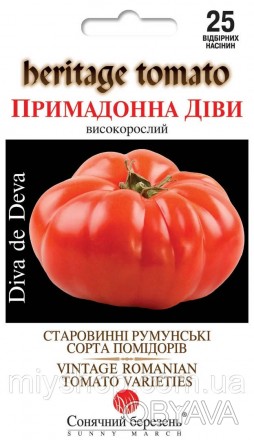 Румунські помідори вважаються найкращими у світі за смаком, завдяки тривалому ві. . фото 1