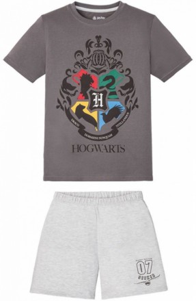 Летняя детская трикотажная пижама Harry Potter. Комплект состоит из шортиков и ф. . фото 2