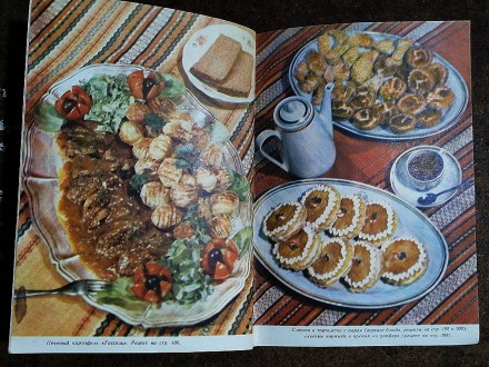 Книга  о  сыре  В. Бегунов  1974  Стан  -  як  на  фото.. . фото 10