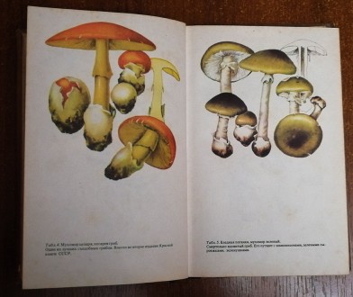 Съедобные и ядовитые  грибы Карпат  С.  Вассер  1990  Стан  -  як  на  фото.. . фото 5