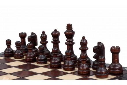 Шахи добре підійдуть початківцям, завдяки своїй простоті допоможуть швидше зрозу. . фото 4
