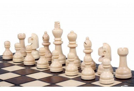 Шахи добре підійдуть початківцям, завдяки своїй простоті допоможуть швидше зрозу. . фото 3