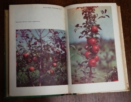 Справочник  садовода  В. Васюта 1990  Стан  -  як  на  фото. . фото 5