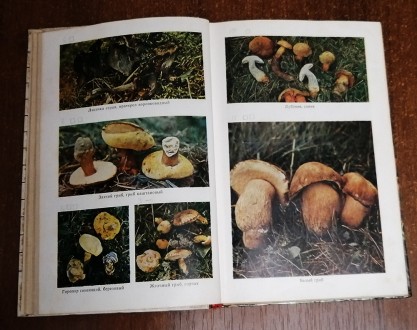 Всё  о  съедобных  грибах В. Козак  1987  Стан  -  як  на  фото. . фото 5