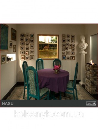 Биокамин Nasu – это свежая идея для обустройства интерьера вашей квартиры, а так. . фото 4