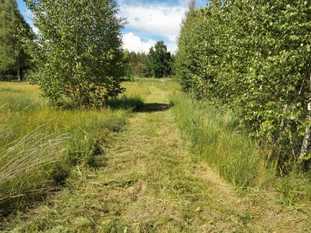 продам большой участок земли в с.Сосновка Иванковского района Киевской области. Київ. фото 1