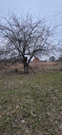 Без % Продається земельна ділянка в селі Березівка, Макарівський район. 30 кілом. . фото 5