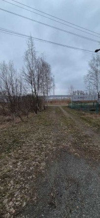 Без % Продається земельна ділянка в селі Березівка, Макарівський район. 30 кілом. . фото 7