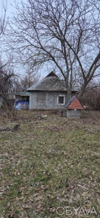 Без % Продається земельна ділянка в селі Березівка, Макарівський район. 30 кілом. . фото 1