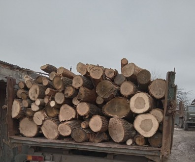 Продам дрова дубові, пиломатеріали. Звертатися за телефоном +38068-894-60-46. . фото 11