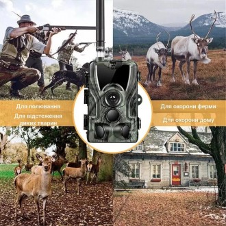 4G фотоловушка для охоты и охраны с передачей живого видео в приложение на смарт. . фото 5