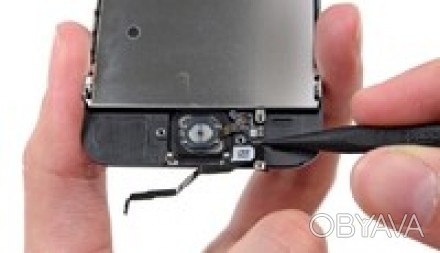 При падениях и ударах в iPhone 6 могут повредиться различные детали смартфона, н. . фото 1