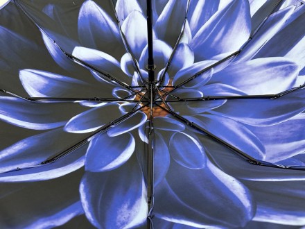Женский полуавтоматический зонтик с цветочным принтом внутри от производителя Su. . фото 10