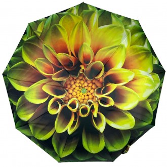Женский полуавтоматический зонтик с цветочным принтом от производителя Toprain о. . фото 4