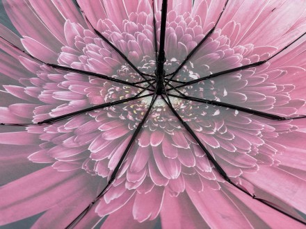 Женский полуавтоматический зонтик с цветочным принтом от производителя Toprain о. . фото 6