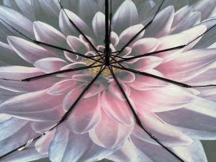 Женский полуавтоматический зонтик с цветочным принтом от производителя Toprain о. . фото 6