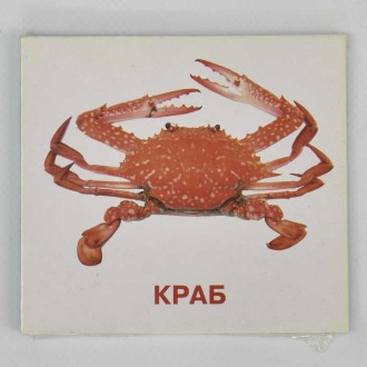 гр Картки міні (18 карток) "Хто у воді живе" 9789669754868 (40) "Jumbi". Одеса. фото 1 гр Картки міні (18 карток) "Хто у воді живе" 9789669754868 (40) "Jumbi". Одеса. фото 1