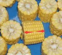 Машина STvega Portioned Corn призначена для нарізки кукурудзи, моркви та інших п. . фото 6