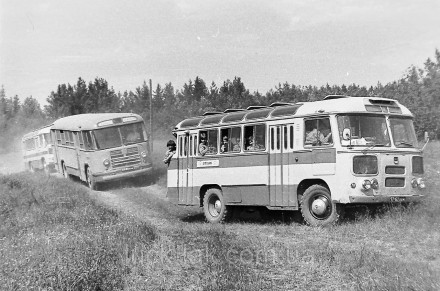 Масштабна колекційна модель автобуса малого класу ПАЗ 652 у масштабі 1:43 (Наші . . фото 8