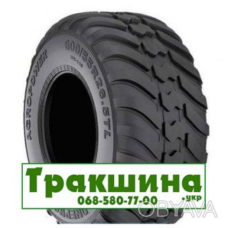 Днепрошина DN-110 AgroPower (с/х) 600/55 R26.5 165D. . фото 1