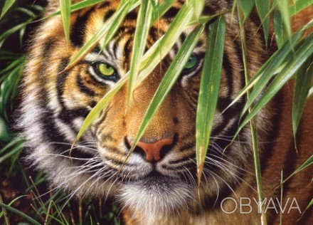 ![CDATA[Пазлы 260 Тигр в джунглях Работаем с 2011 годаБлагодаря большому опыту в. . фото 1