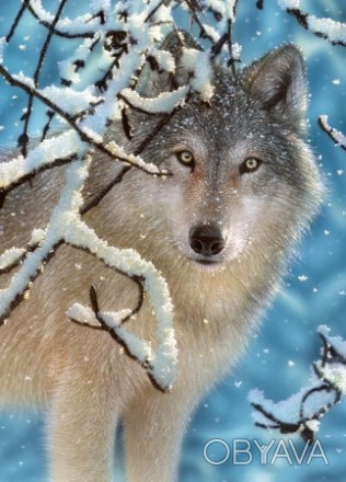 ![CDATA[Пазлы 260 Волк в зимнем лесу Работаем с 2011 годаБлагодаря большому опыт. . фото 1