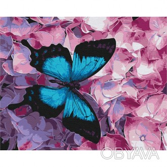 ![CDATA[Картина за номерами: Метелик на квітах 40*50 Работаем с 2011 годаБлагода. . фото 1