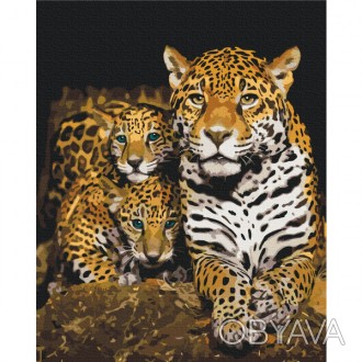 ![CDATA[Картина за номерами: Нічні леопарди 40*50 Работаем с 2011 годаБлагодаря . . фото 1