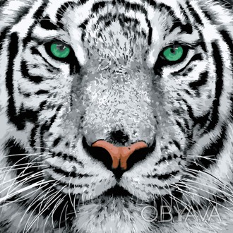 Набір для розпису по номерах Білий тигр Strateg розміром 40х40 см (SK023) Работа. . фото 1