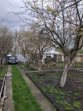 Продам Участок на Осокорках. Киев. фото 1