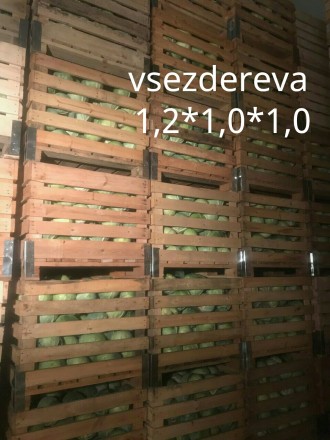 Наше підприємство vsezdereva виготовляє великі контейнери , ящики з дерева для з. . фото 2