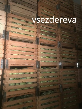 Наше підприємство vsezdereva виготовляє великі контейнери , ящики з дерева для з. . фото 3
