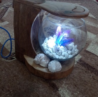 Круглий акваріум з дерев'яною горіховою підставкою, також є освітлення.
Ак. . фото 4