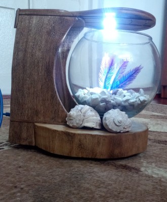 Круглий акваріум з дерев'яною горіховою підставкою, також є освітлення.
Ак. . фото 5