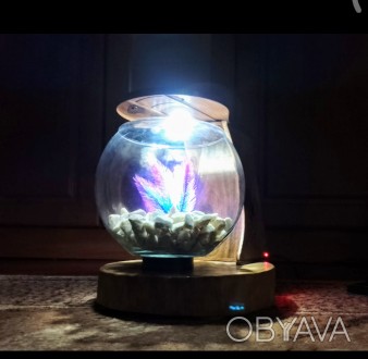 Круглий акваріум з дерев'яною горіховою підставкою, також є освітлення.
Ак. . фото 1