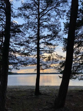 Будинок розміщений в зоні національного парку Шацькі озера, посеред чистого сосн. . фото 6