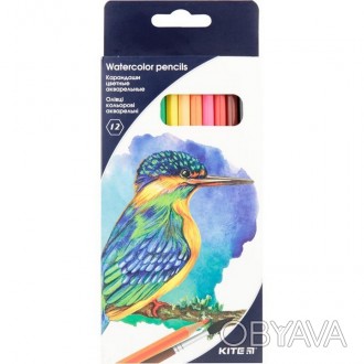 Олівці кольорові Kite Птахи 12 кольорів, акварельні. . фото 1