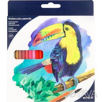 Олівці кольорові Kite Птахи 24 кольори, акварельні. . фото 1