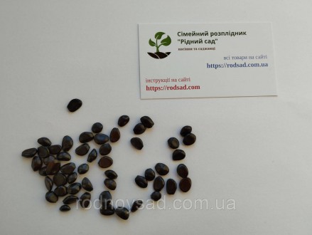 
	
	
	
	
	
	
	
	Инструкция выращивание декенея Фаргеза из семян
	
	
	
	метод выр. . фото 3