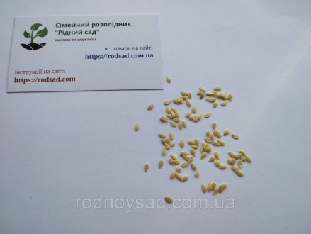
	
	
	
	
	
	
	
	Инструкция выращивание мелотрия из семян
	
	
	
	метод выращивани. . фото 4