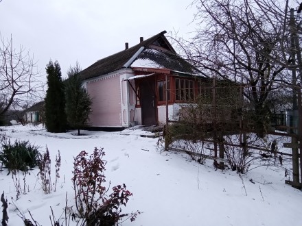 продам будинок землю парк. Житомир. фото 1 продам будинок землю парк. Житомир. фото 1