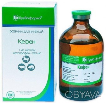 
1 мл препарата содержит активнодействующие вещество (мг): кетопрофен 100,0
Вспо. . фото 1