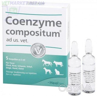 КОЭНЗІМ.
Coenzyme compositum ad us. vet.
Гомеопатичний лікарський засіб для вете. . фото 1