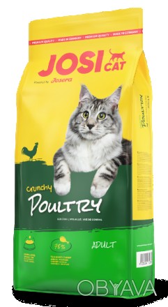 JosiCat Crunchy Poultry смачна їжа для котів, які люблять птицю. Спеціально піді. . фото 1