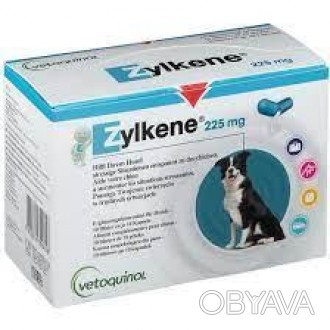 Зилкене 225 мг, для собак
Лекарственная форма:
Желатиновые капсулы продолговатой. . фото 1