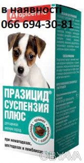 Описание
Празицид-cуспензию сладкую назначают щенкам с профилактической и лечебн. . фото 1