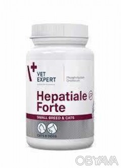VetExpert (Вет Эксперт) HEPATIALE Forte Small Breed/Cat - Вет Эксперт Гепатиале . . фото 1