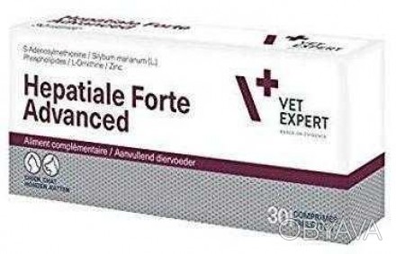 ОПИСАНИЕ
VetExpert Hepatiale Forte Advanced предназначен для собак и кошек весом. . фото 1